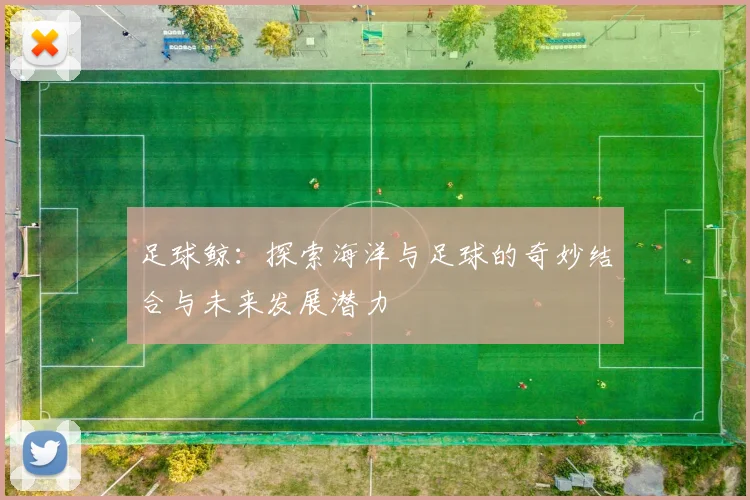 足球鲸：探索海洋与足球的奇妙结合与未来发展潜力