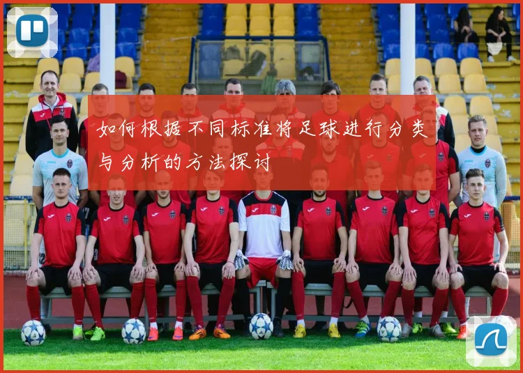 如何根据不同标准将足球进行分类与分析的方法探讨