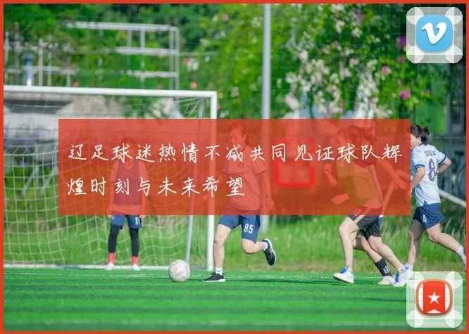 辽足球迷热情不减共同见证球队辉煌时刻与未来希望