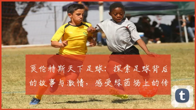 莫伦特斯天下足球：探索足球背后的故事与激情，感受绿茵场上的传奇与梦想