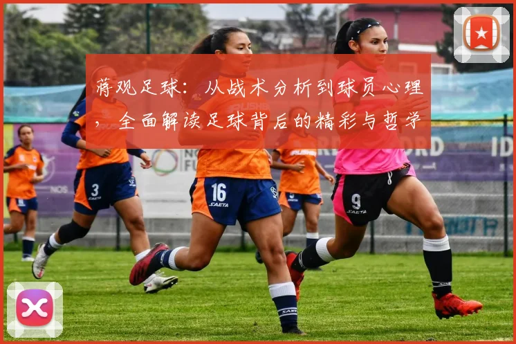 蒋观足球：从战术分析到球员心理，全面解读足球背后的精彩与哲学