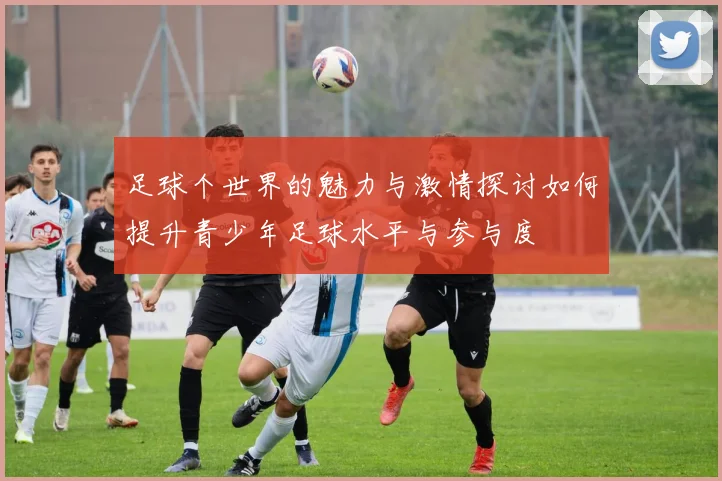 足球个世界的魅力与激情探讨如何提升青少年足球水平与参与度